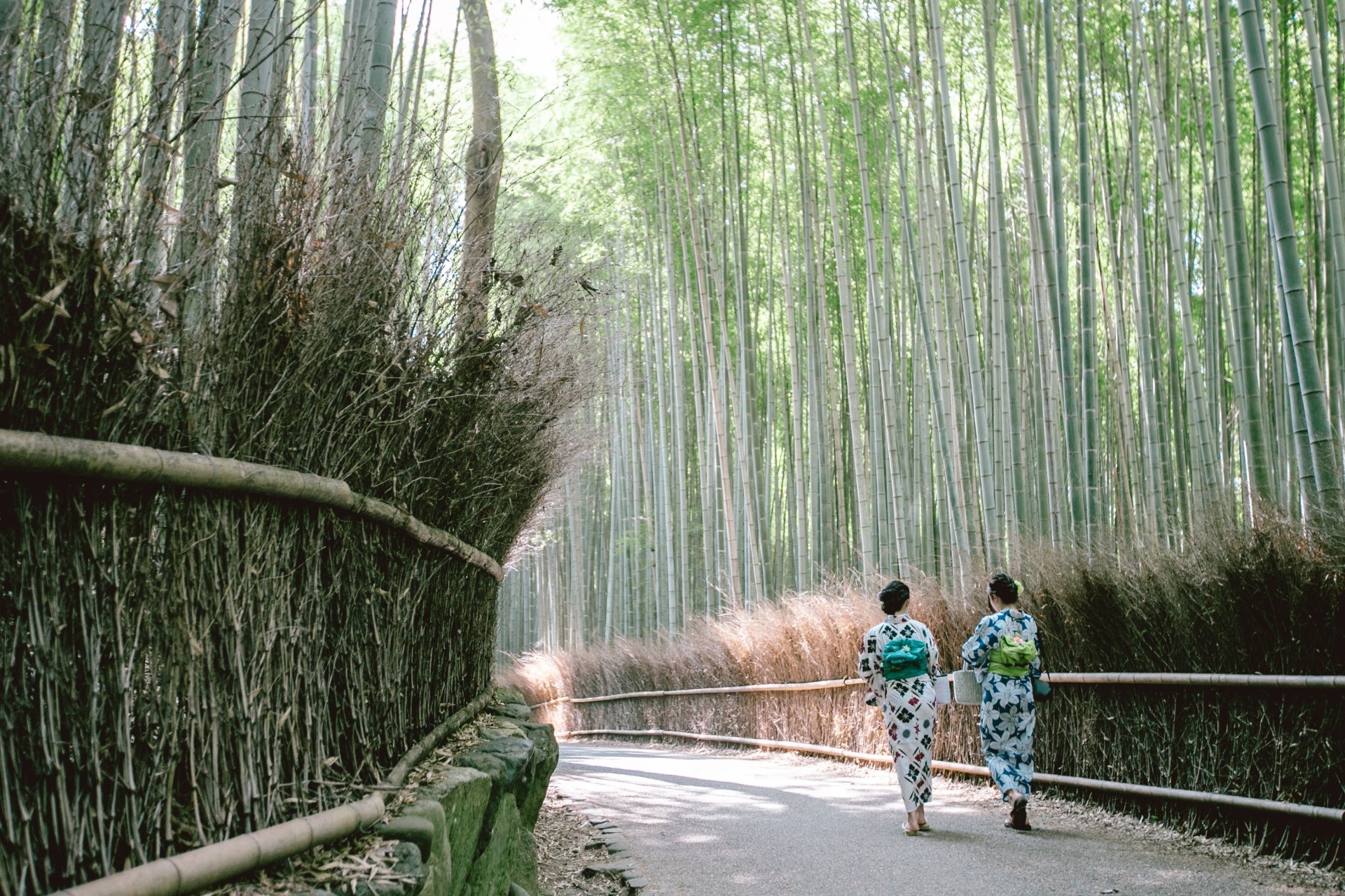 Moonlight Bamboo